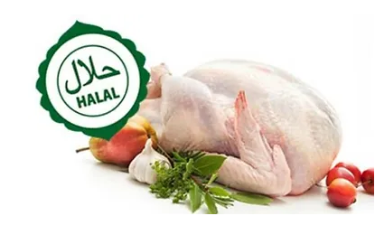 Halal Chicken manufacturers