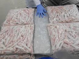 Buy frozen chicken feet or paws for sale Order wholesale Frozen Chicken feet from Brazil Halal Frozen Chicken Feet for sale near me