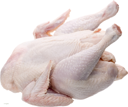 where to buy wholesale Frozen chicken parts for sale