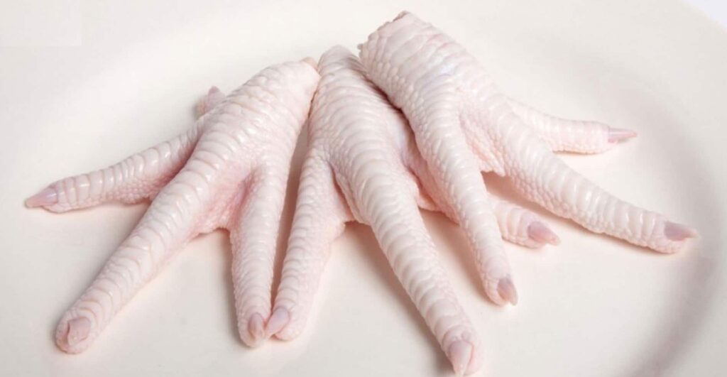 Frozen Chicken Paws Suppliers